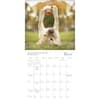 image Dogma 2026 Mini Wall Calendar Third Alternate Image