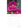 image Orchids 2026 Wall Calendar Third Alternate Image