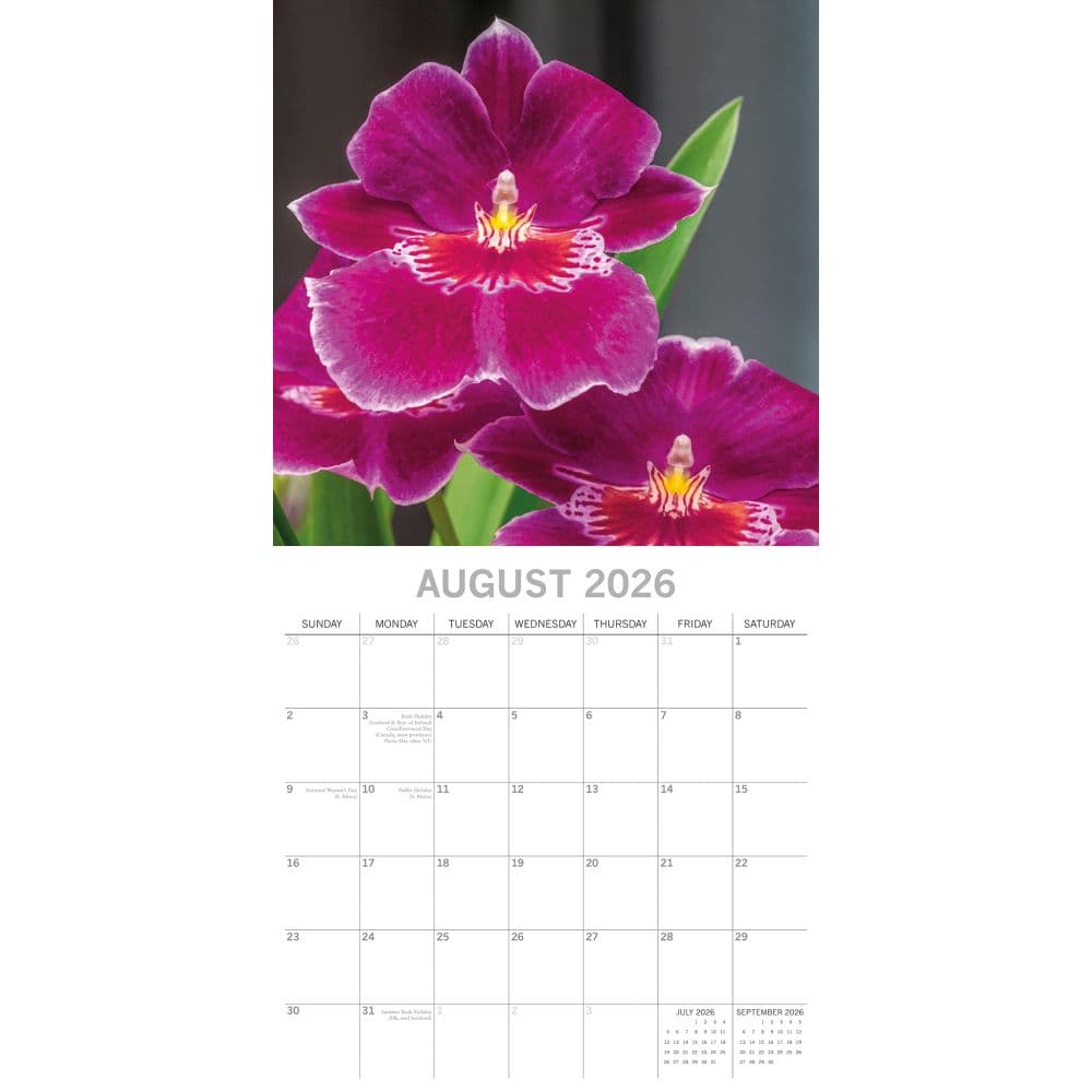 Orchids 2026 Wall Calendar Third Alternate Image