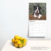 image Boston Terrier Puppies 2025 Wall Calendar Third Alternate Image width=&quot;1000&quot; height=&quot;1000&quot;