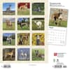 image Greyhounds 2024 Wall Calendar First Alternate Image width=&quot;1000&quot; height=&quot;1000&quot;
