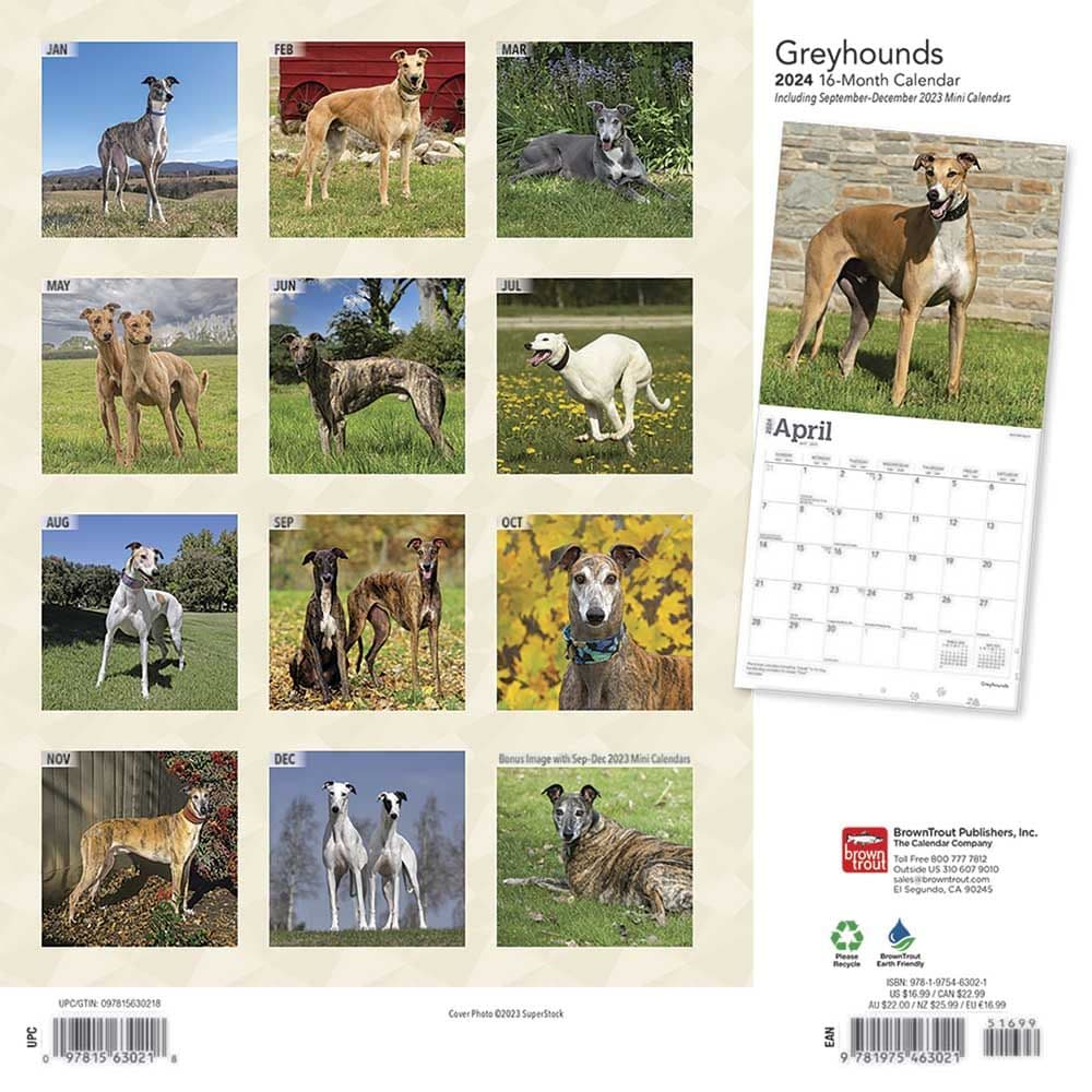 Greyhounds 2024 Wall Calendar First Alternate Image width=&quot;1000&quot; height=&quot;1000&quot;