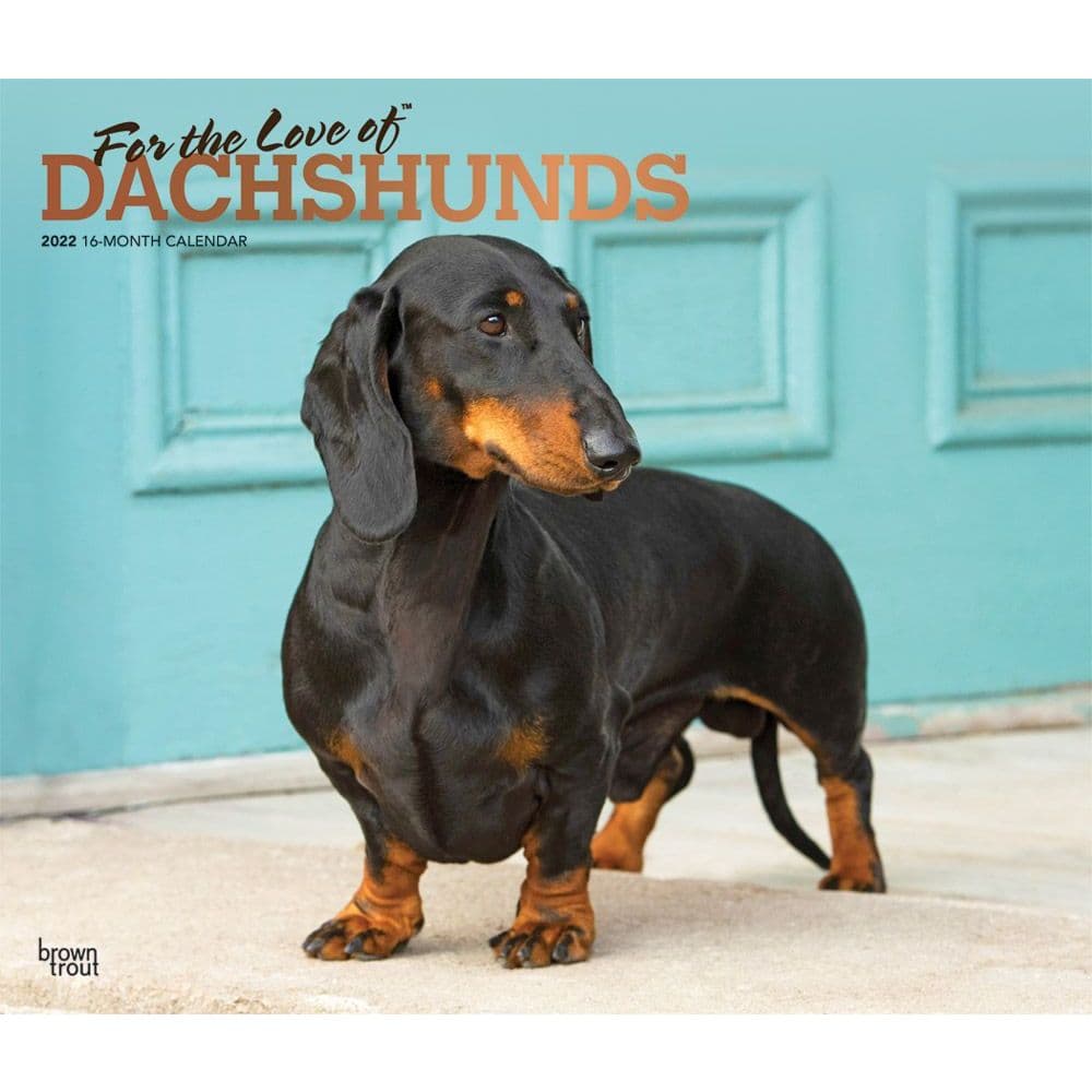 Dachshunds 2022 Deluxe Wall Calendar - Calendars.com