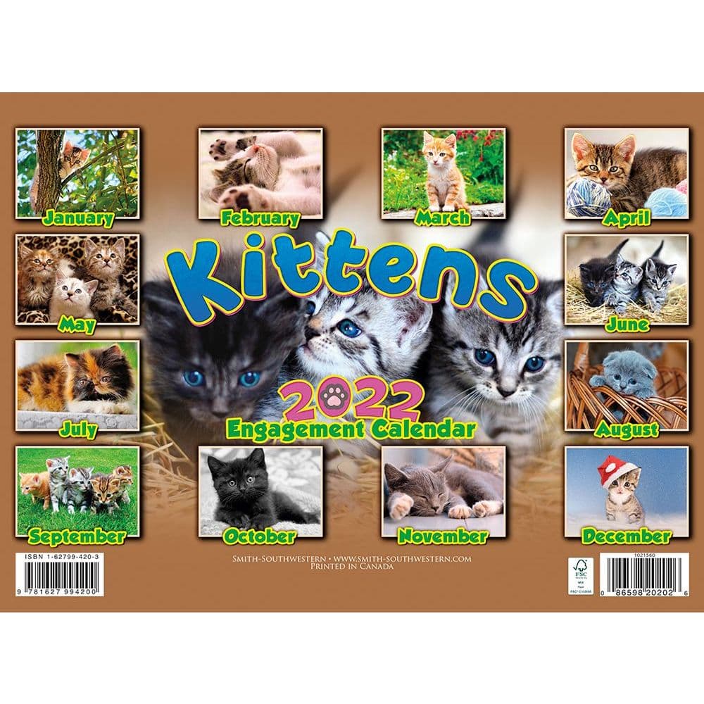 Details about   KITTENS & CATS--Vintage 2006--Collectible Wall Calendar-3 Pak--Great Photos--New 
