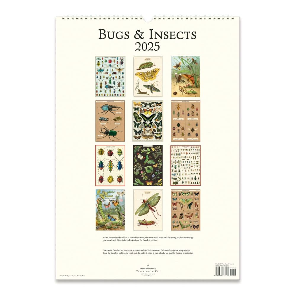Bugs and Insects 2025 Wall Calendar