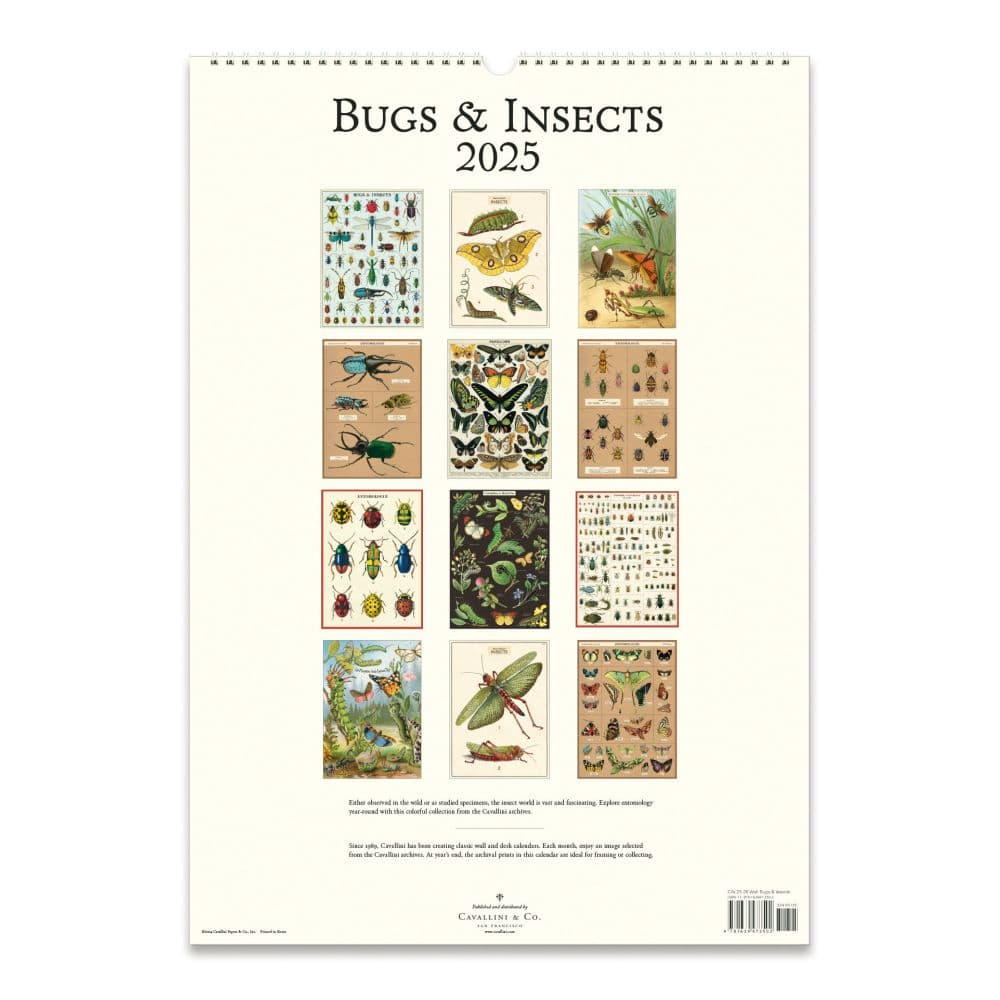 Bugs and Insects 2025 Wall Calendar Second Alternate Image width="1000" height="1000"