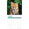 image Baby Foxes 2024 Wall Calendar Second Alternate Image width=&quot;1000&quot; height=&quot;1000&quot;