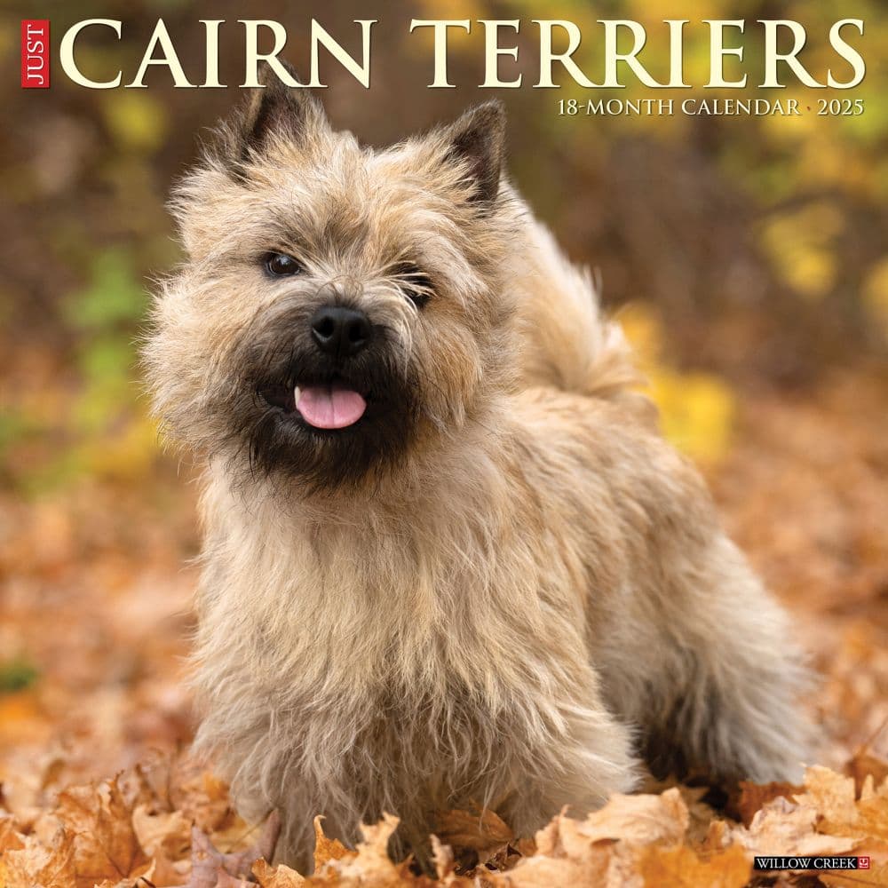 Just Cairn Terrier 2025 Wall Calendar Main Image