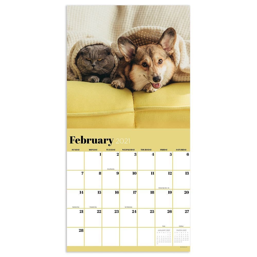 Furry Friends Wall Calendar