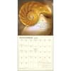 image Meditation 2026 Wall Calendar Second Alternate Image