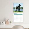 image Great Danes 2025 Wall Calendar Fifth Alternate Image