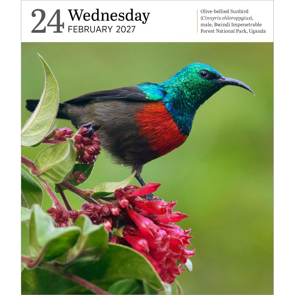 Audubon Nature 2027 Page-A-Day Gallery Desk Calendar Second Alternate Image