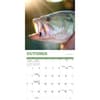 image Bass 2026 Wall Calendar Fourth Alternate Image