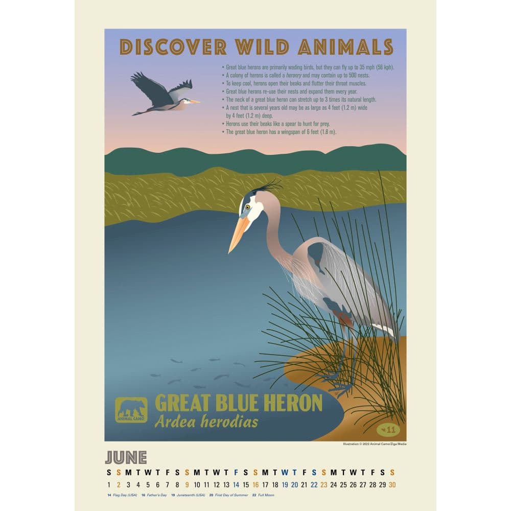 American Wildlife Poster 2024 Wall Calendar Fourth Alternate Image width=&quot;1000&quot; height=&quot;1000&quot;