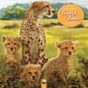 image Beautiful Babies 2025 Wall Calendar Main Image