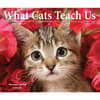 image What Cats Teach Us 2025 Desk Calendar Fifth Alternate Image