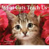 image What Cats Teach Us 2025 Desk Calendar Main Image