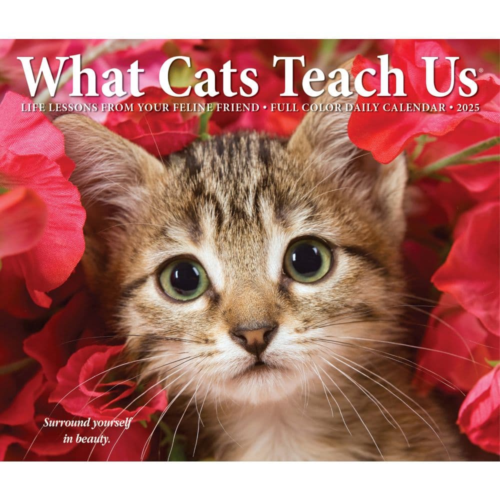 What Cats Teach Us 2025 Desk Calendar