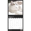 image Cat Selfies 2025 Wall Calendar Third Alternate Image width=&quot;1000&quot; height=&quot;1000&quot;