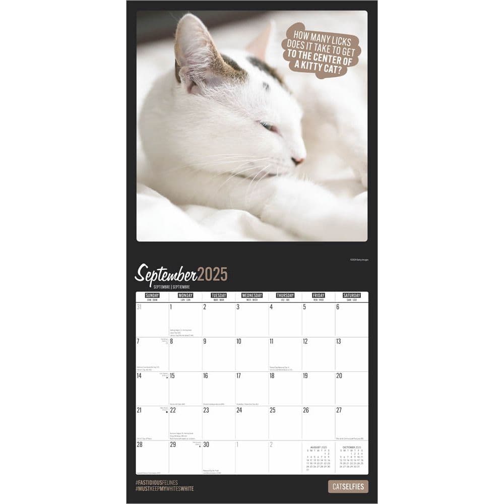 Cat Selfies 2025 Wall Calendar Third Alternate Image width=&quot;1000&quot; height=&quot;1000&quot;