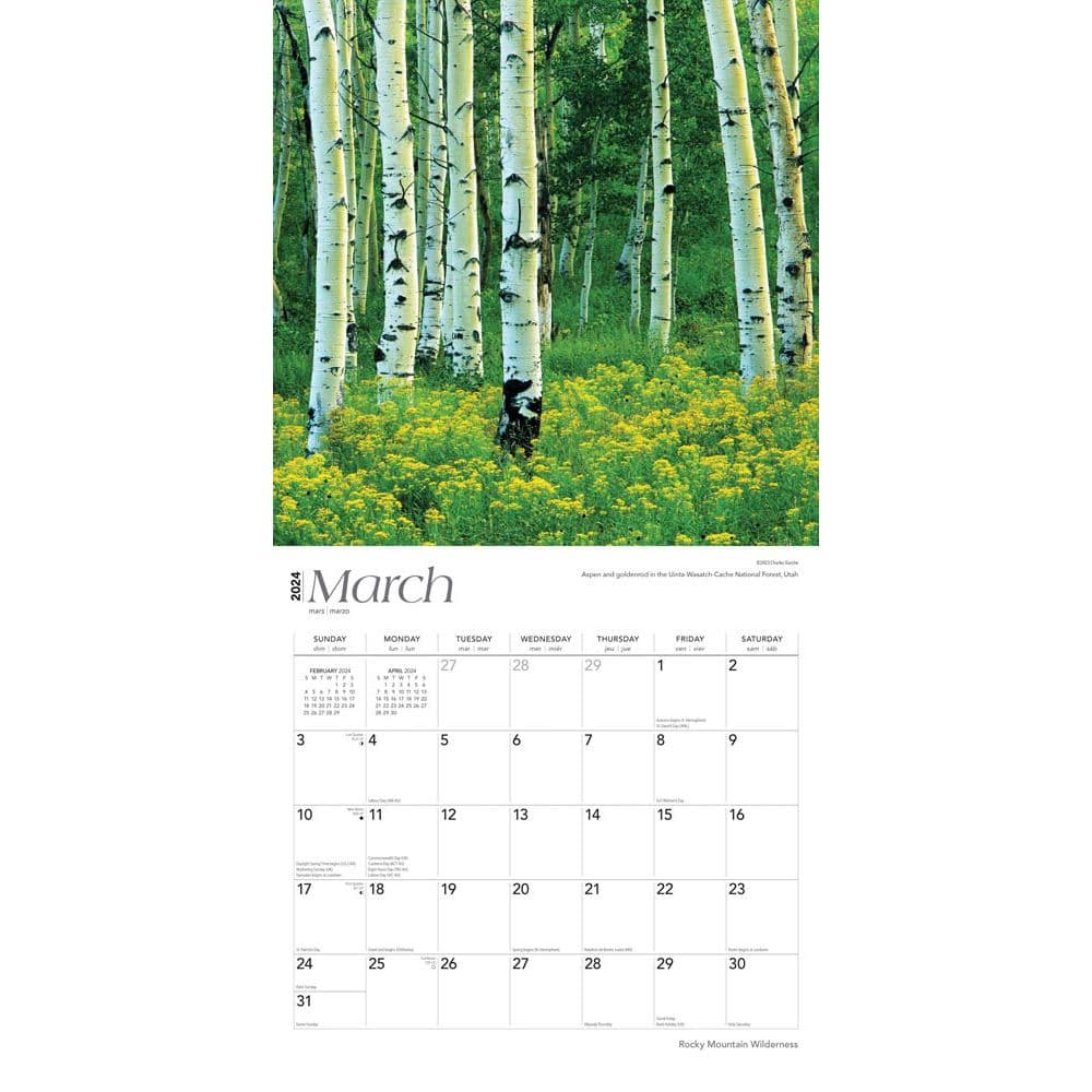 Rocky Mountain Wilderness 2024 Wall Calendar