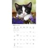 image Tuxedo Cats 2026 Wall Calendar Second Alternate Image