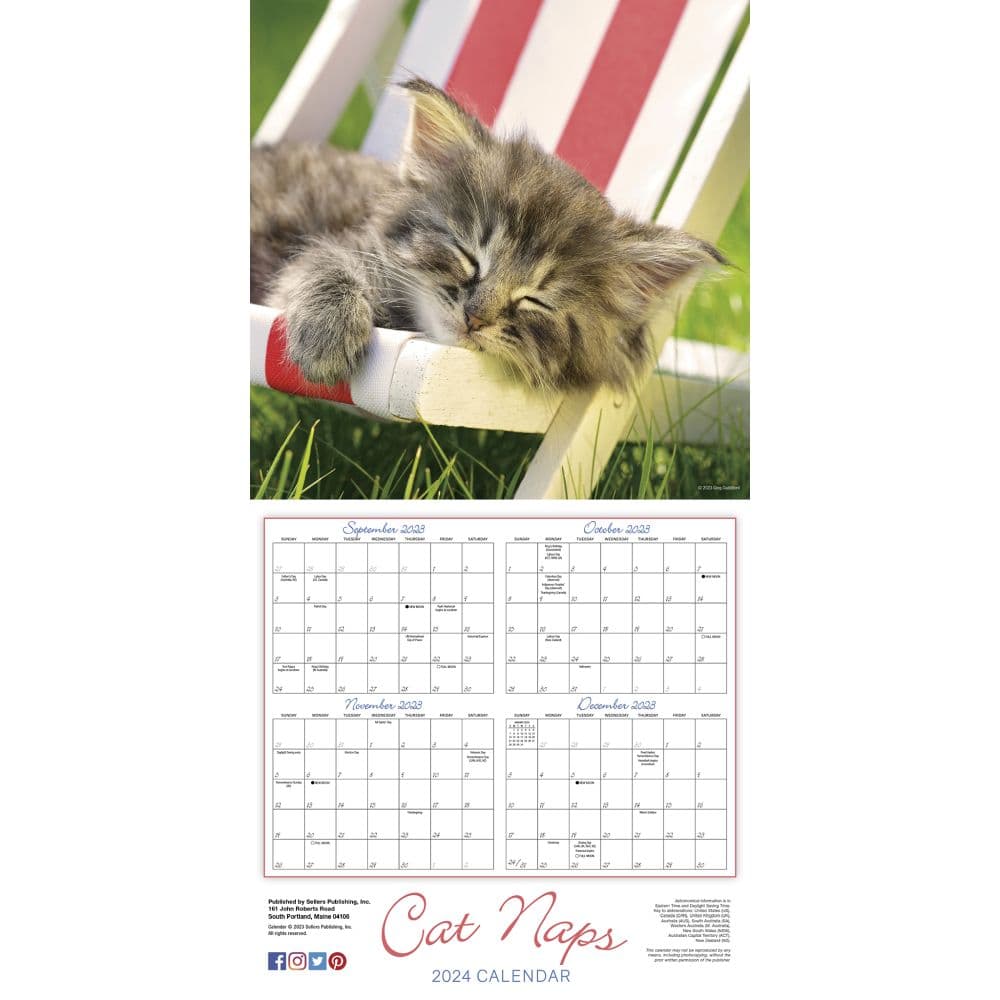 Cat Naps 2024 Wall Calendar