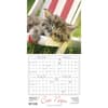 image Cat Naps 2024 Wall Calendar Alternate Image 4