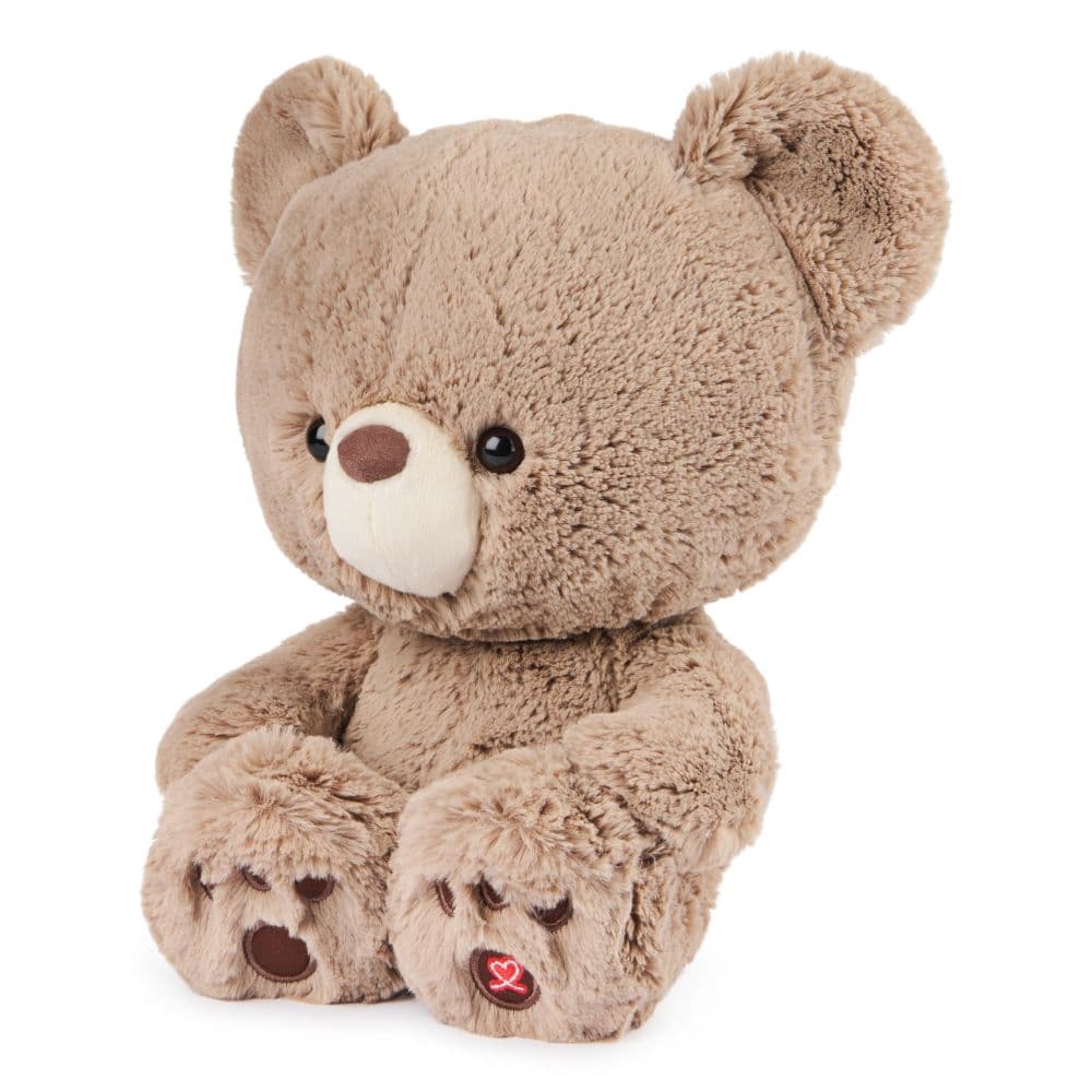 Kai Teddy Bear Plush Ninth Alternate Image