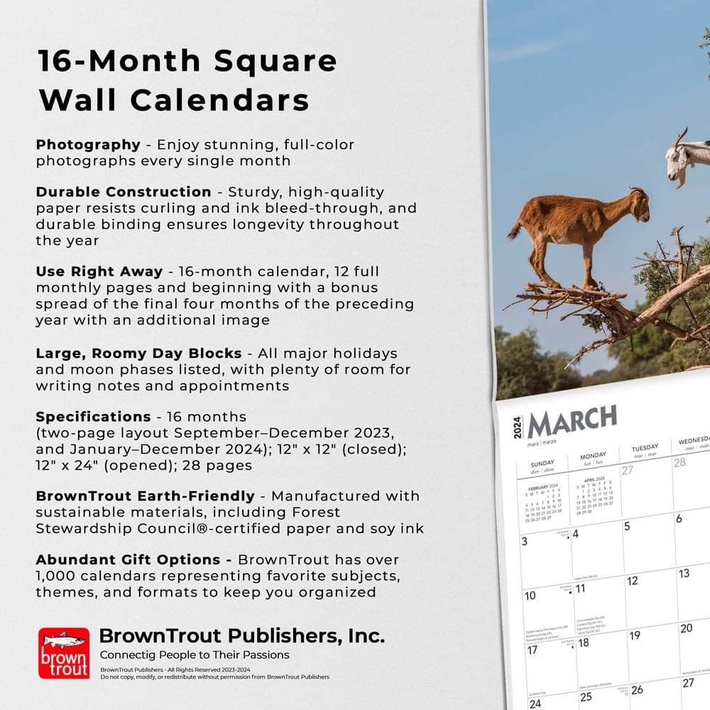 Goats in Trees 2024 Wall Calendar Alternate Image 4