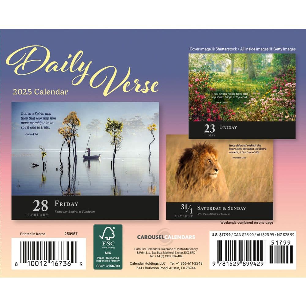 Daily Verse 2025 Desk Calendar