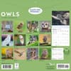 image Owls 2026 Wall Calendar First Alternate Image