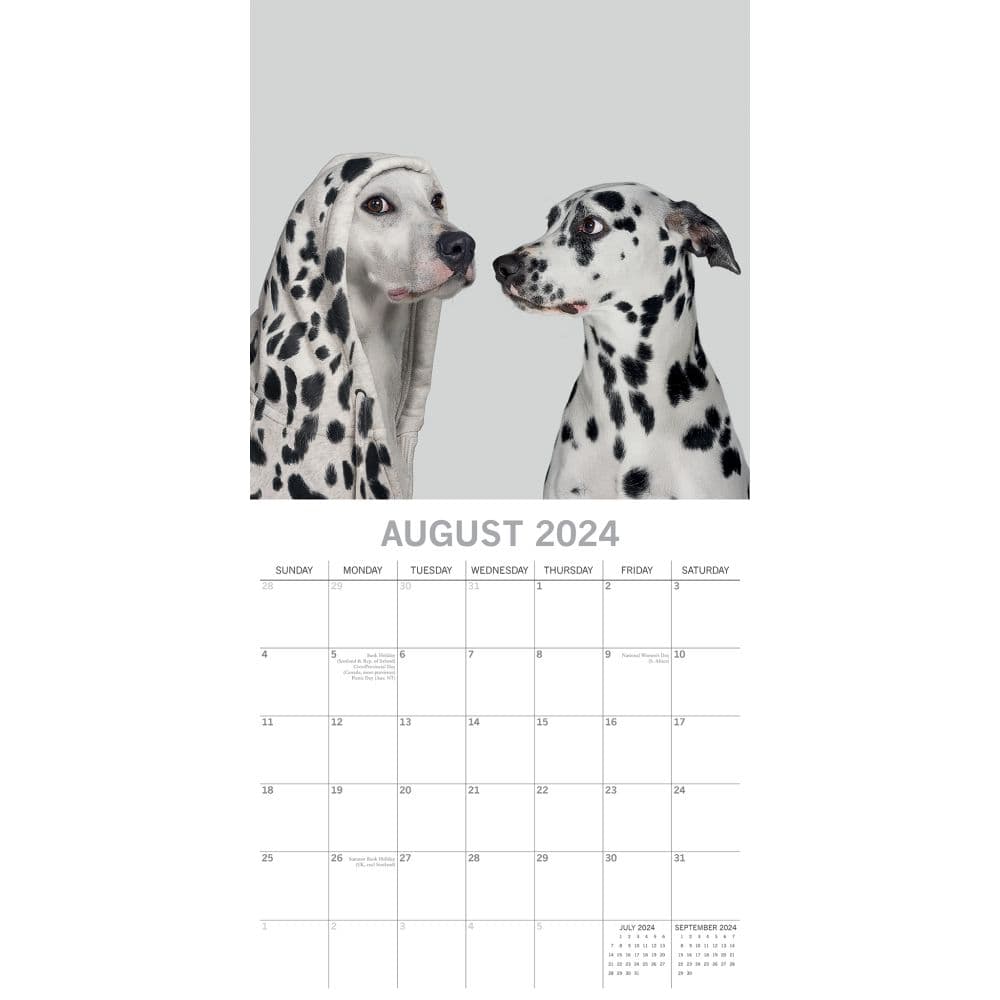 Dogs as Animals 2024 Wall Calendar Third Alternate Image width=&quot;1000&quot; height=&quot;1000&quot;