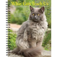 image What Cats Teach Us 2026 Engagement Planner Main Image