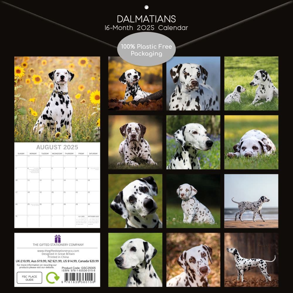 Dalmatians 2025 Wall Calendar