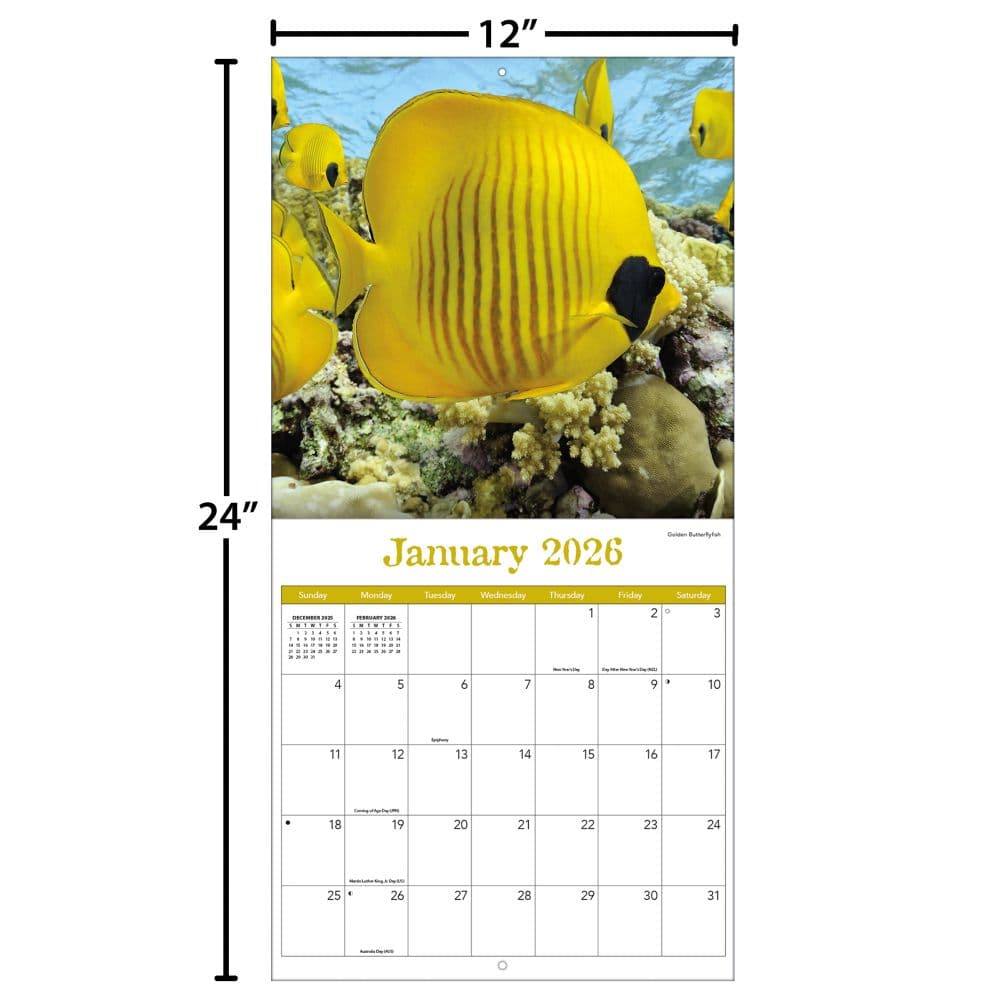 Sea Creatures 2026 Wall Calendar_ALT5