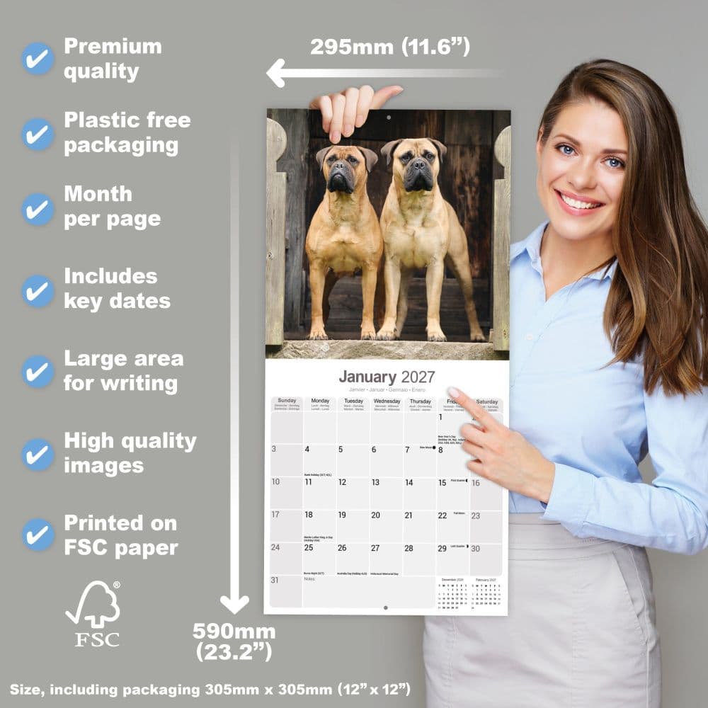 Bull Mastiff 2027 Wall Calendar Third Alternate Image