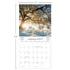 image Seasons Photo 2025 Mini Wall Calendar