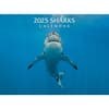 image Sharks 2025 Wall Calendar Main Image
