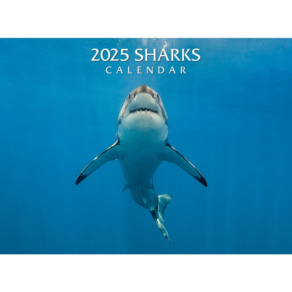 Sharks 2025 Wall Calendar Main Image