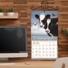 image Cows Cows Cows Special Edition 2027 Wall Calendar Sixth Alternate Image