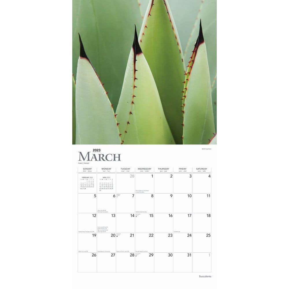 succulents-2023-wall-calendars