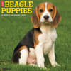 image Just Beagle Puppies 2025 Wall Calendar Main Image