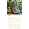 image Sloths 2025 Mini Wall Calendar Second Alternate Image width="1000" height="1000"