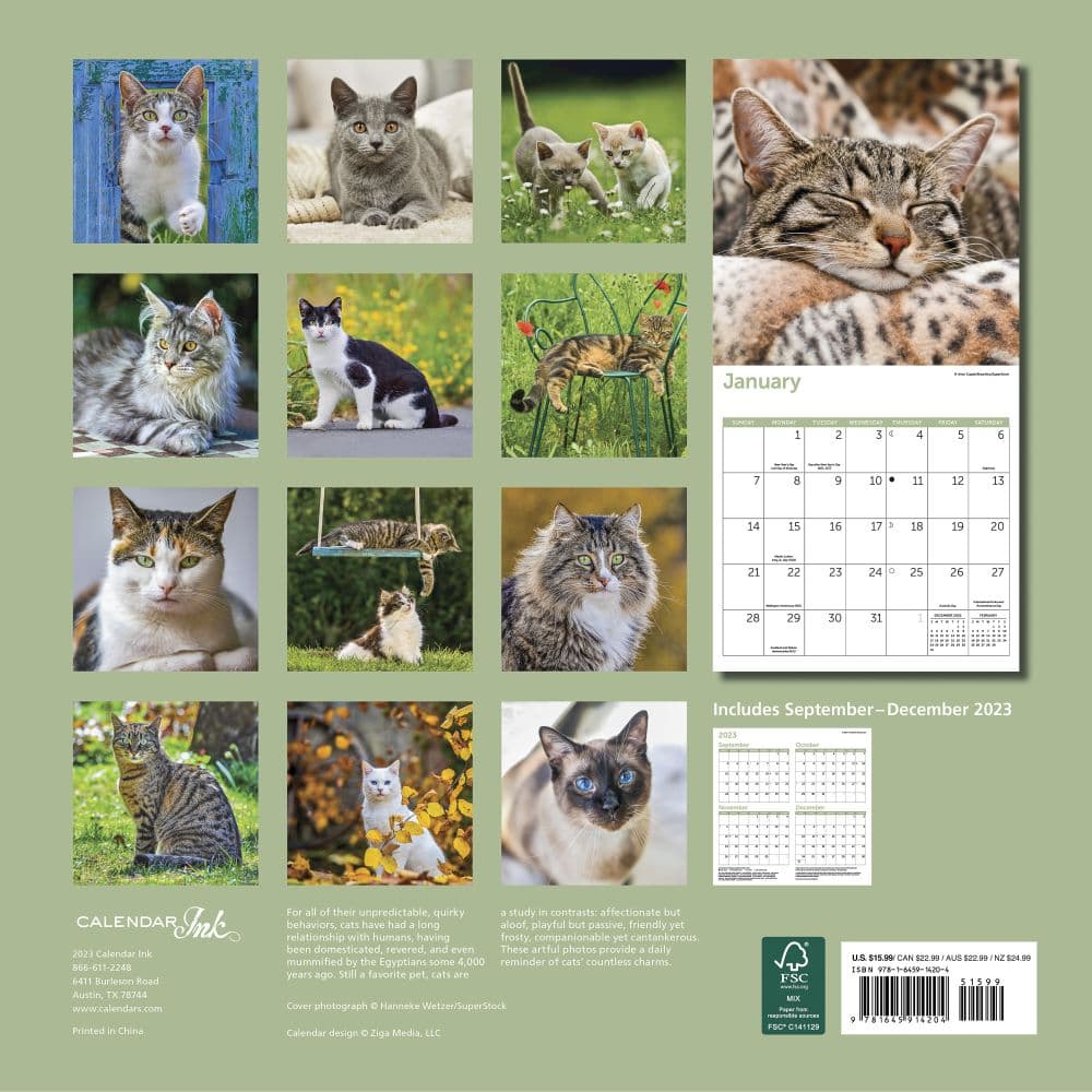 Cats 2024 Wall Calendar Alternate Image 1
