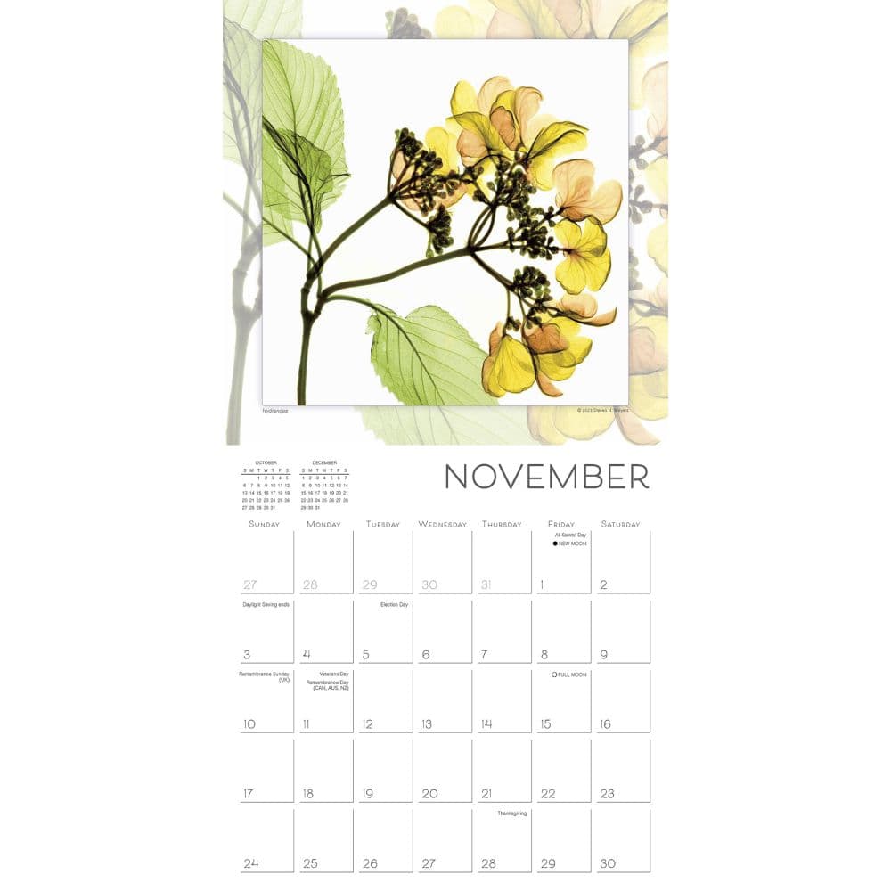 Flower Spirits 2024 Wall Calendar