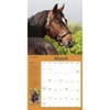 image How to Think Like a Horse 2025 Wall Calendar Second Alternate Image width="1000" height="1000"