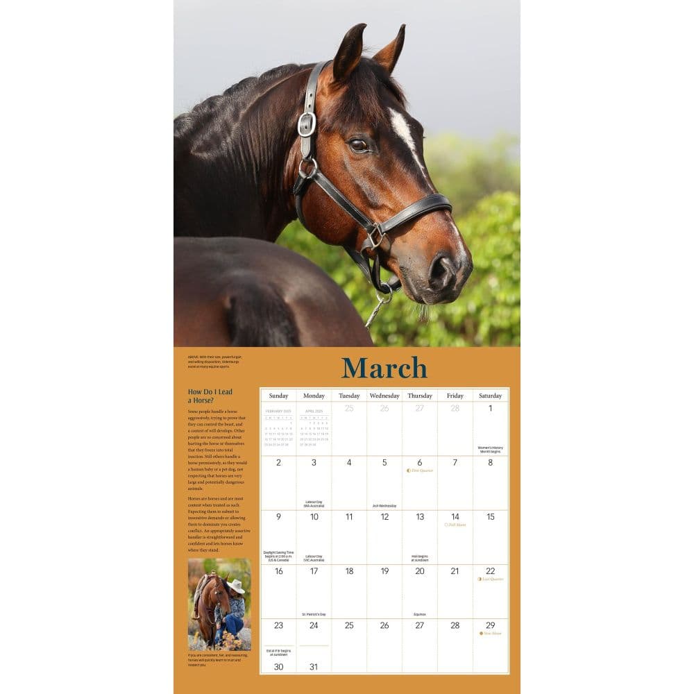 How to Think Like a Horse 2025 Wall Calendar Second Alternate Image width="1000" height="1000"