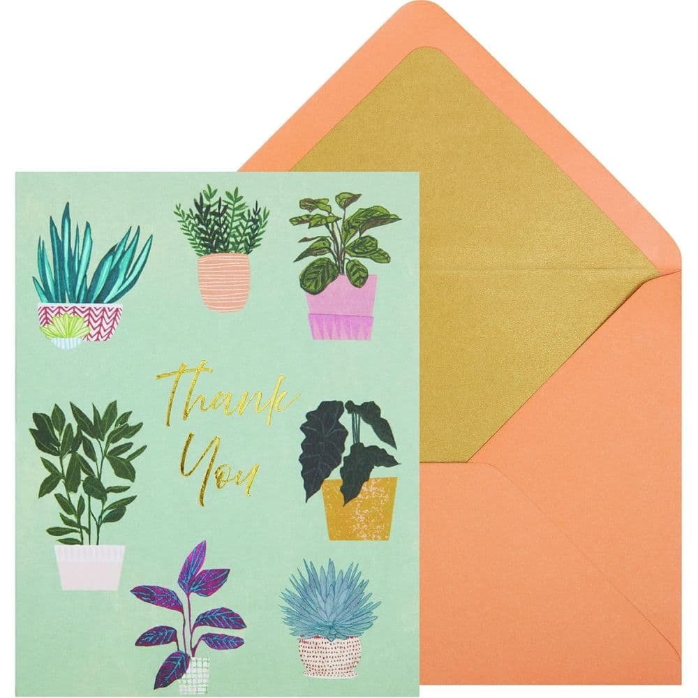 Thank You Houseplants Teal Boxed Note Cards Main Product Image