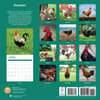 image Roosters 2025 Wall Calendar First Alternate Image width="1000" height="1000"